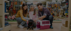 LA BOUTIQUE POUR CHIEN