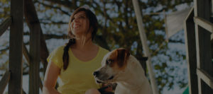 achter un chien