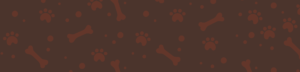 bg-Boutique-pour-chien