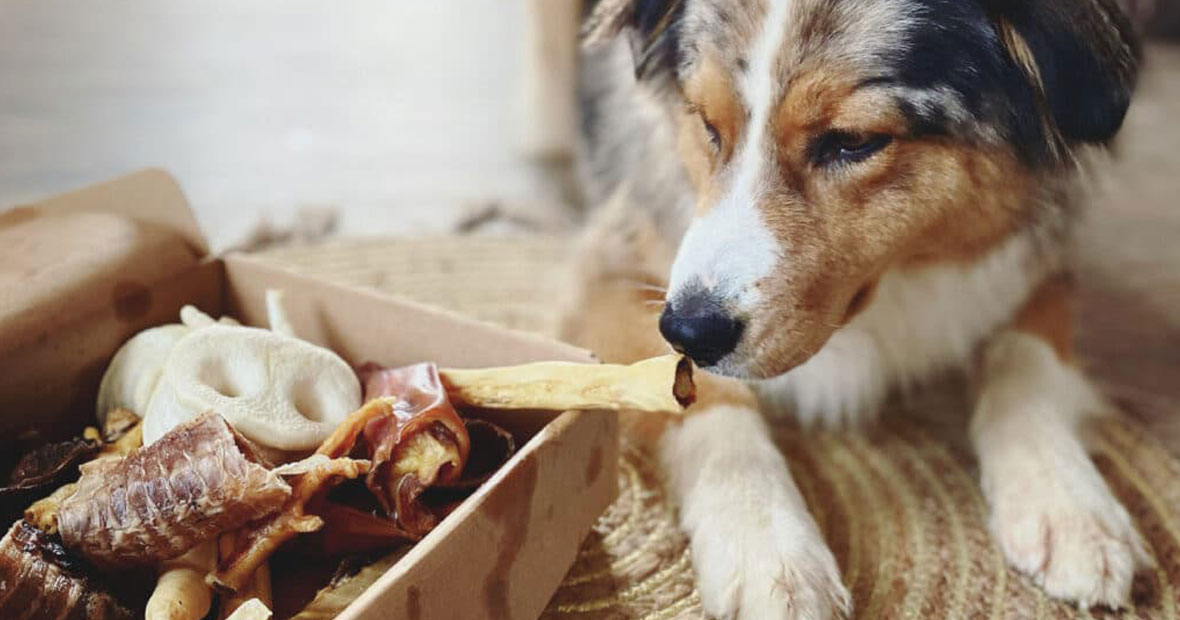 Friandises naturelles pour chiens